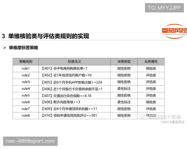 视频回放判罚规则如何理解与适用要点全面详解